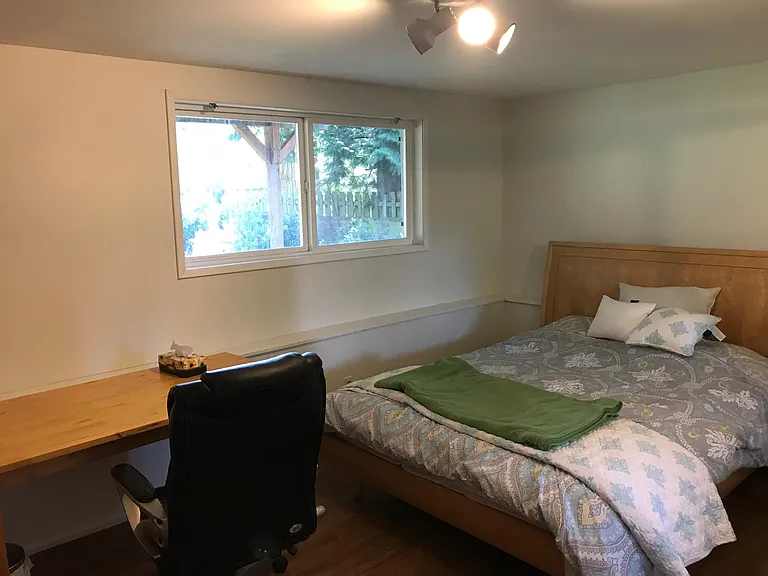 Downstairs Bedroom