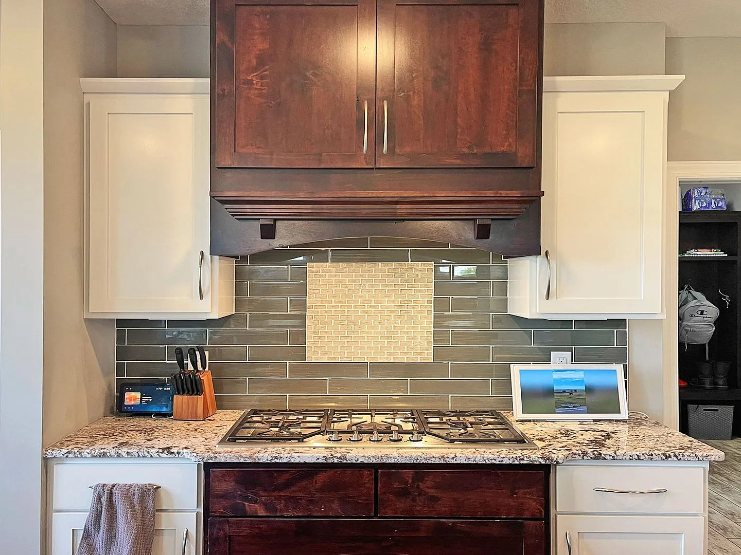 Big Beautiful Custom Home on Nature Preserve, Gourmet Kitchen, Granite, 2 Fireplaces, Primary Sui... — Photo 4