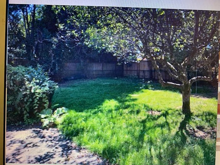 Portion of the home's large and private back yard. Other areas of back yard contain sunny garden areas, patio, flower planters and hammock spaces.