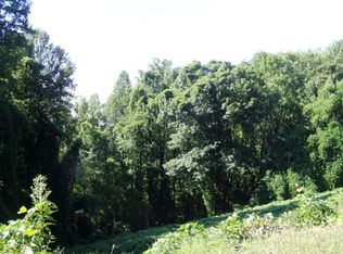 0 Sylva Hwy #441, Franklin, NC 28734