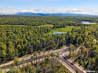 45269 S Upwind Cir, Willow, AK 99688