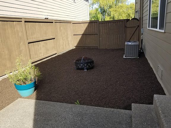 Back yard