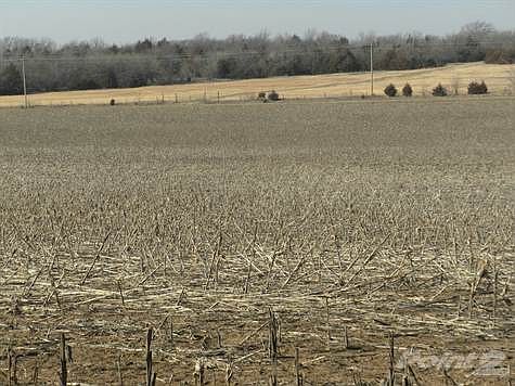 Crop2