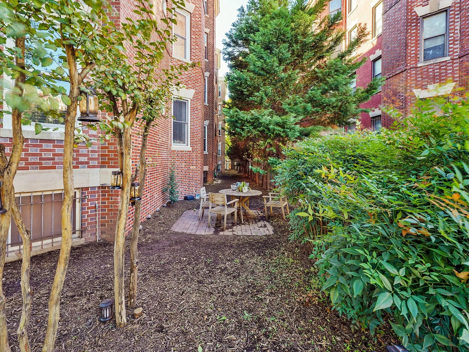 1 bed, 618 sqft, $2,500 — Photo 4