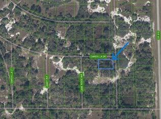 1181 Ebbtide Ave, Lake Placid, FL 33852