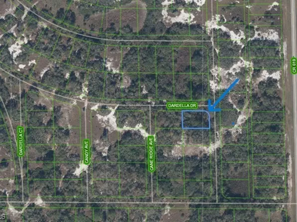 1181 Ebbtide Ave, Lake Placid, FL 33852