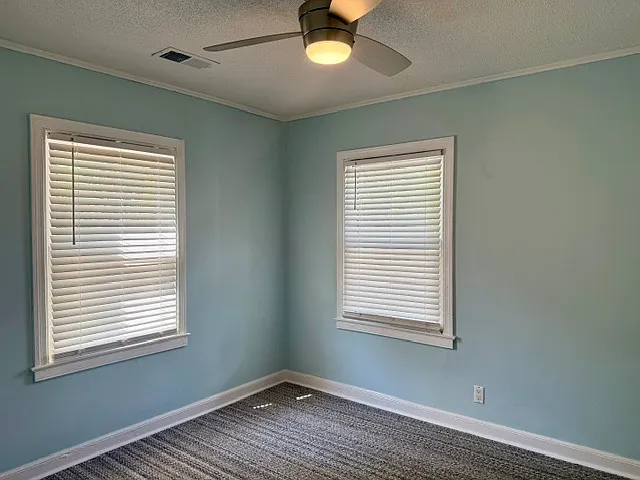 335 Nathan Hunt Dr — Photo 8