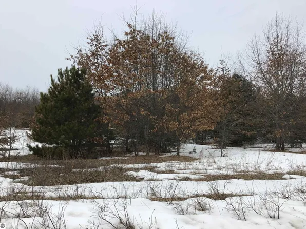 2.58 Vl Decker Rd, Lake City, MI 49651