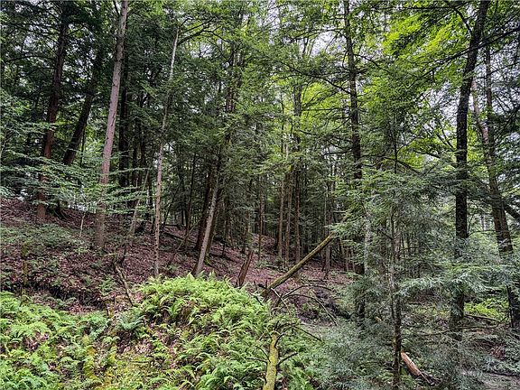 20th image of Wp1 Tucker Hill Rd