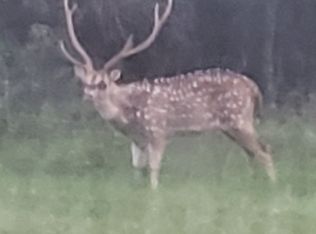 228 Apache Loop, Cherokee, TX 76832