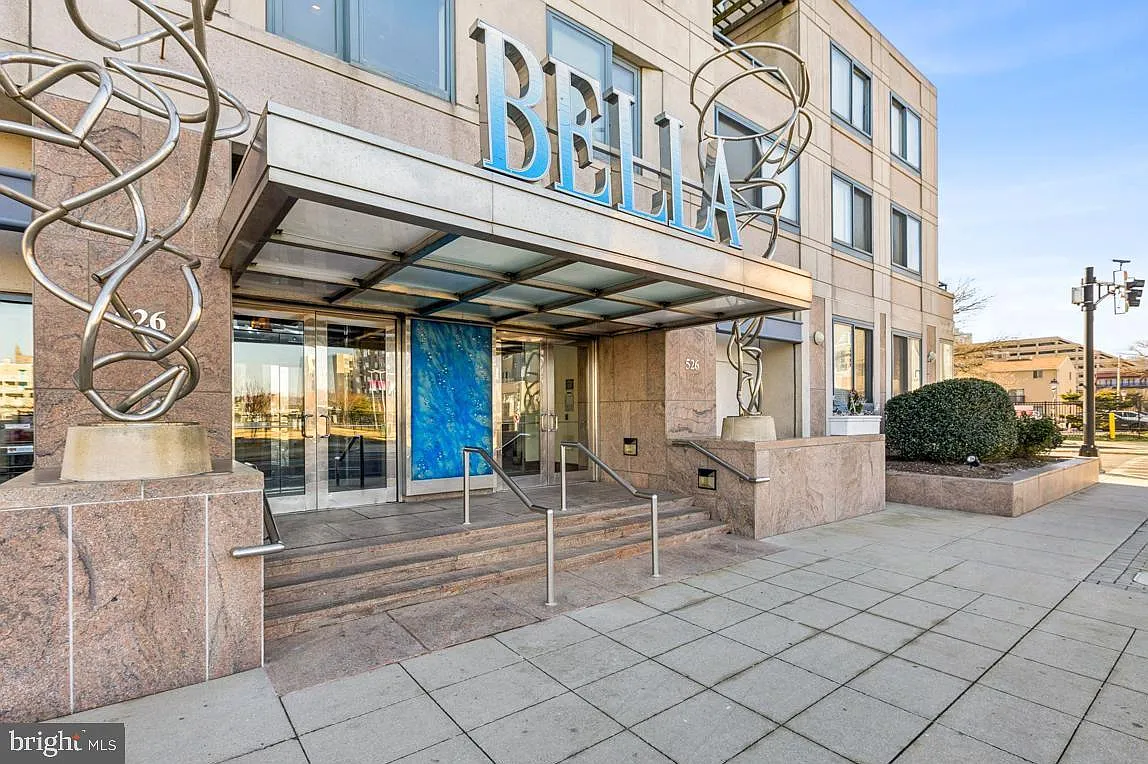 Bella — Photo 1