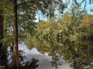 4298 Banks Rd, Middleburg, FL 32068