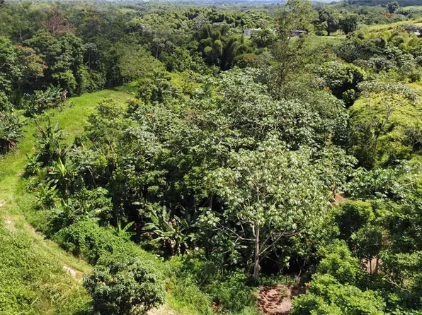 Carr 423 Km #2.5, Moca, PR 00676