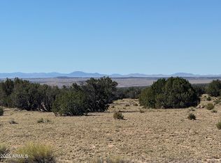 0 Woodlands Rnch LOT 704, Saint Johns, AZ 85936