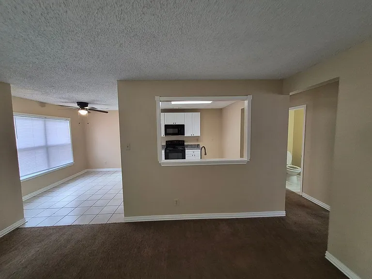 8007 Chestnut Bluff Dr — Photo 11