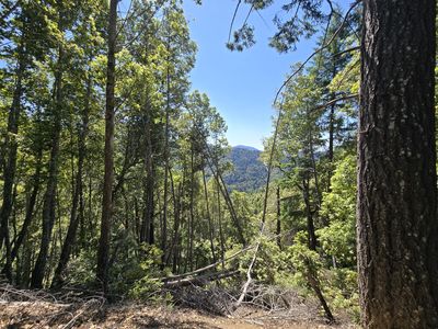 0 Mattole Rd, Honeydew, CA, 95545