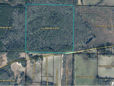 1509 Curry Ferry Rd, Bonifay, FL, 32425