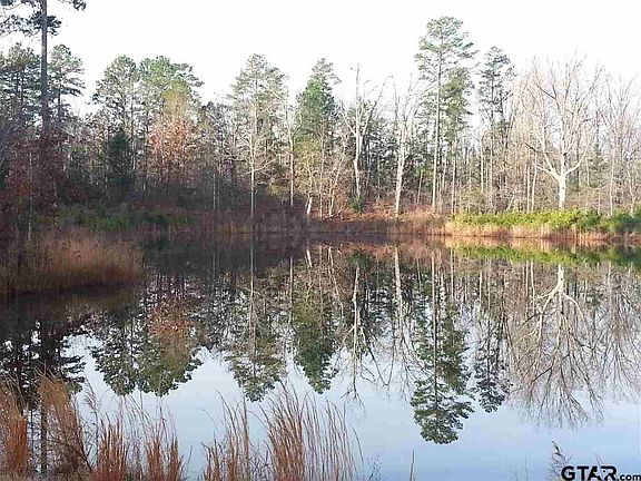 2nd image of 295 County Road 4570