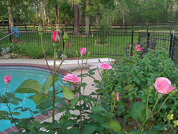 40,000 gallon gunite swimming pool, 47.4 ft x 20.5 feet, 3.5 ft to 8.5 ft deep, and a round 6 person