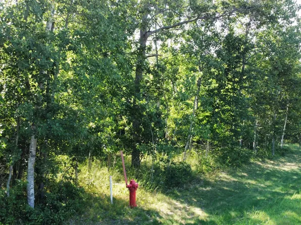 10 Lynndale Dr N, Baxter, MN 56425