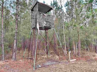 445 W Willow Pond Rd, Johnsonville, SC 29555