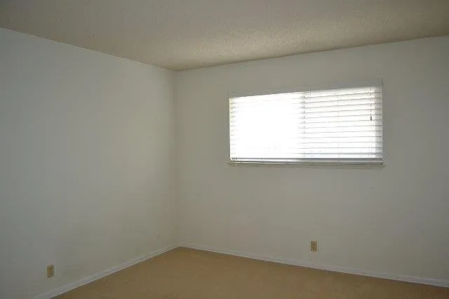 3 bed, 1290 sqft, $2,700 — Photo 4