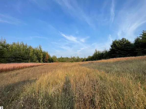 E 18 1/2 Rd Parcel F-e, Manton, MI 49663