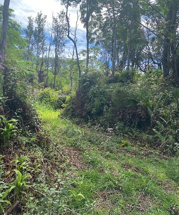 1st image of Moku St Lot 20