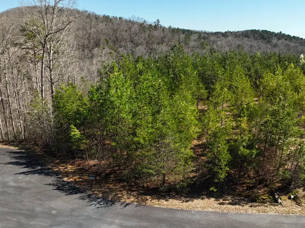 0 Olde Rockhouse Ln, Demorest, GA 30535