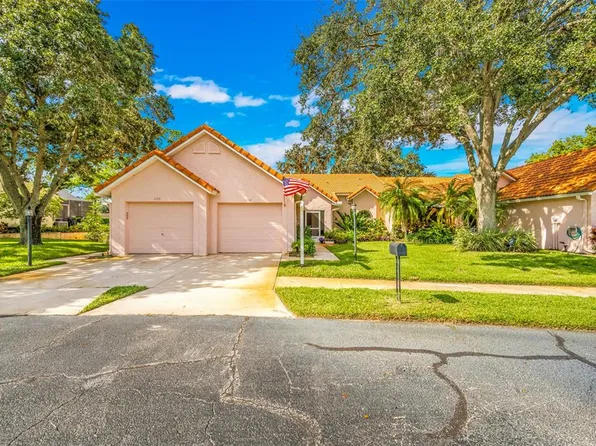 1132 Rustlewood Ct, Palm Harbor, FL 34684