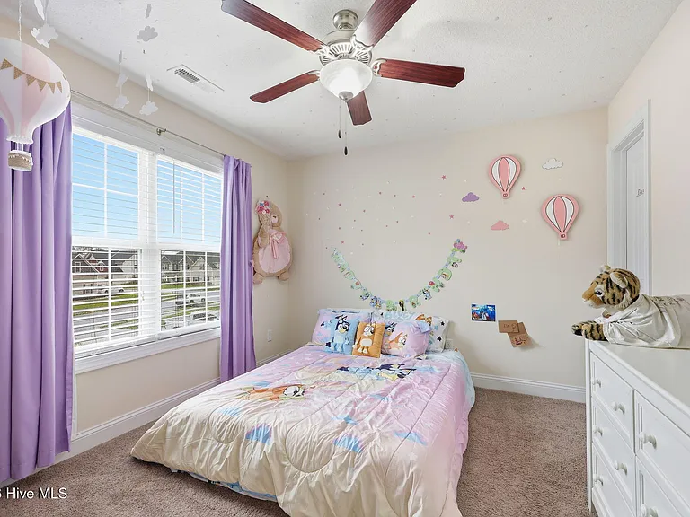 317 Little Egret Ln — Photo 33