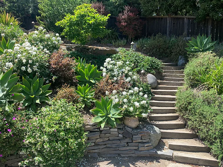 Steps off of driveway to garden