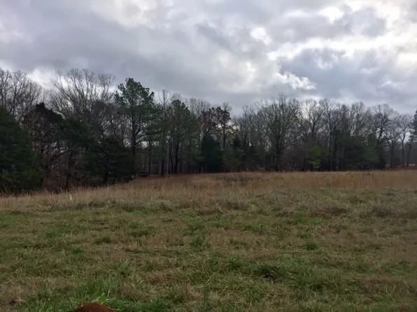 159 Fox Trail Run, Oxford, MS 38655
