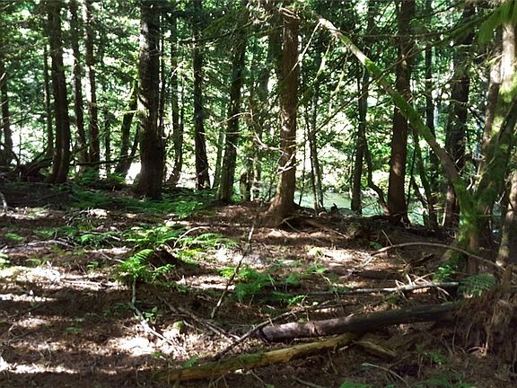 3rd image of 87230 NE Old Cascade Hwy