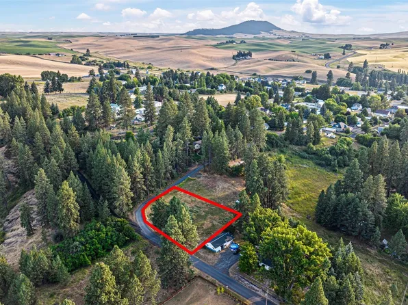 305 S River Road, Palouse, WA 99161