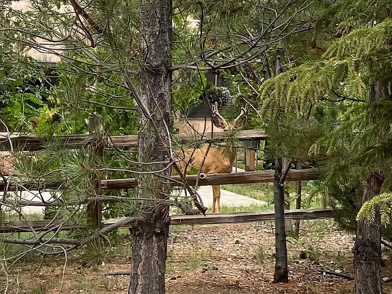 Friendly neighbors . . .