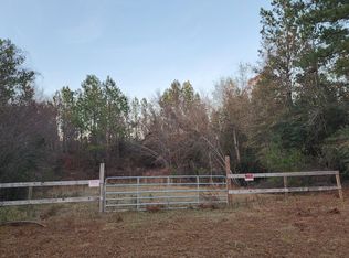 1607 Hephzibah McBean Rd, Hephzibah, GA 30815