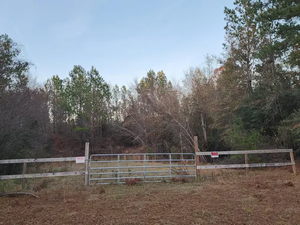 1607 HEPHZIBAH - MCBEAN Road, Hephzibah, GA 30815