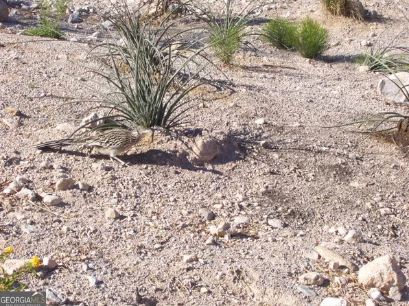 2911 Fairview Rd, Covington, GA 30016