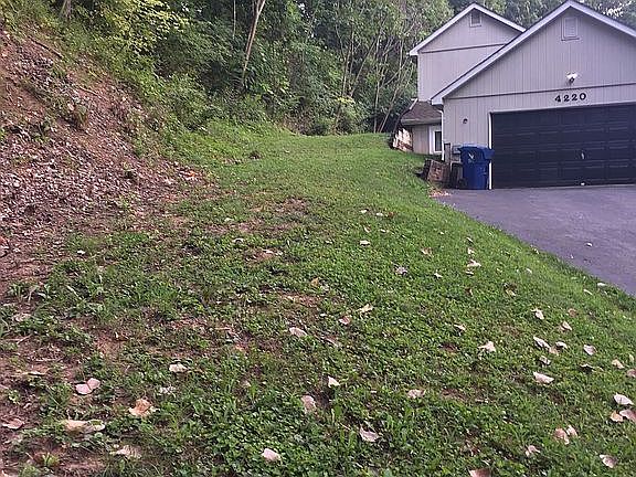 Newly cleared back yard