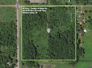 5121 Skuse Rd, Osseo, MI 49266