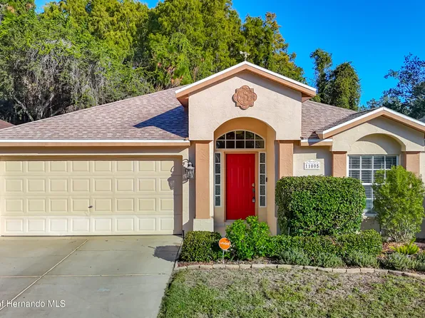 11005 Millbury Ct, New Port Richey, FL 34654