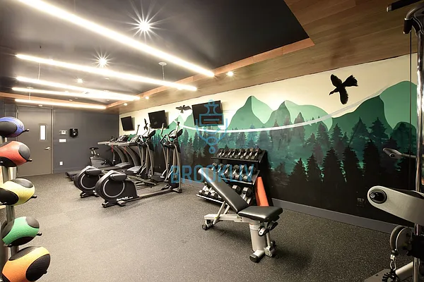 Rented by null | media 62