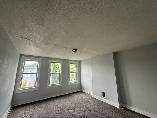 1703 Lorman St — Photo 20
