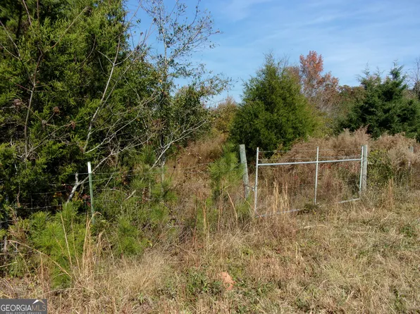 0 River Rd, Carlton, GA 30627