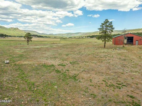 42856 Us Highway 180 #4C, Alpine, AZ 85920