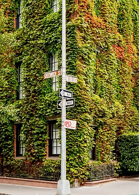 Rented by Douglas Elliman | media 9