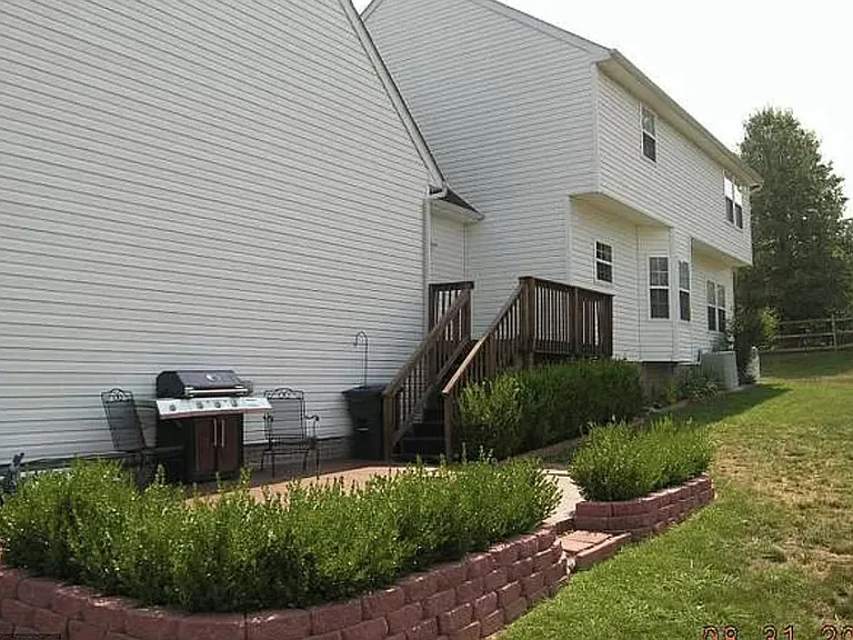 Backyard and patio