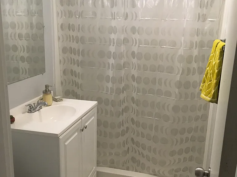 Hall bathroom