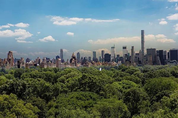 Sold by Douglas Elliman | media 22